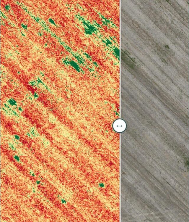 Índice de vegetación calculado sobre el ortomosaico de un lote en AvanSys