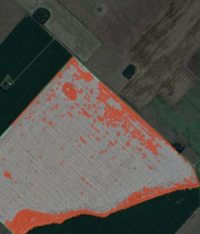 Mapa de malezas sobre un lote en barbecho generado con AvanSys